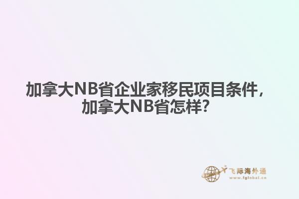 加拿大NB省企業(yè)家移民項(xiàng)目條件，加拿大NB省怎樣？