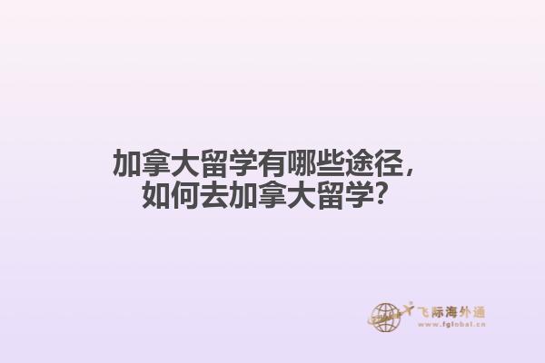 加拿大留學(xué)有哪些途徑，如何去加拿大留學(xué)？