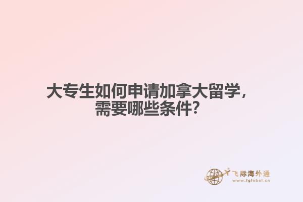 大專生如何申請加拿大留學，需要哪些條件？