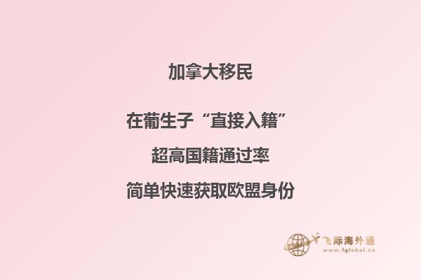 2020加拿大魁省移民政策分析，對你有哪些影響？
