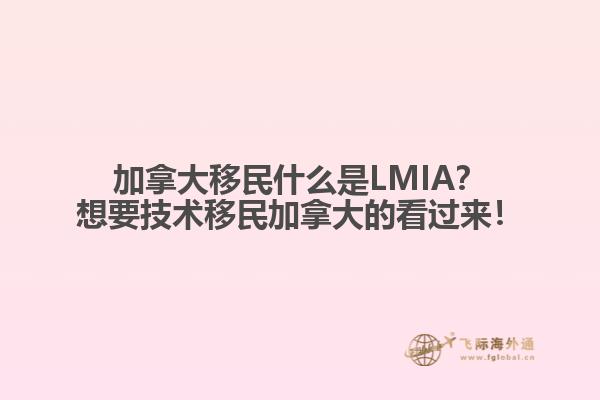 加拿大移民什么是LMIA？想要技術(shù)移民加拿大的看過來！