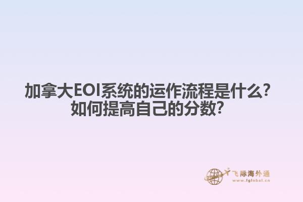 加拿大EOI系統(tǒng)的運(yùn)作流程是什么？如何提高自己的分?jǐn)?shù)？