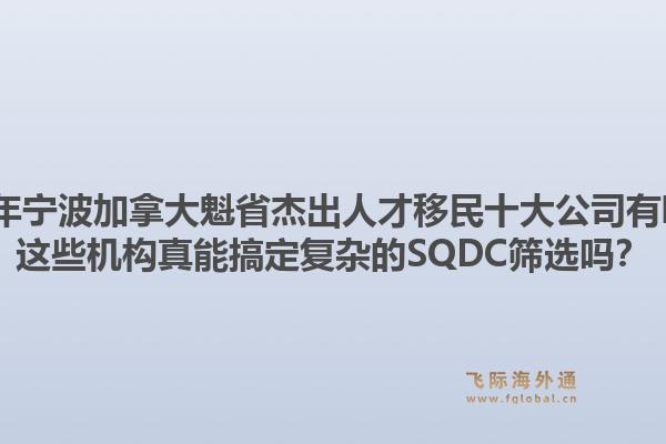 2026年寧波加拿大魁省杰出人才移民十大公司有哪些？這些機構真能搞定復雜的SQDC篩選嗎？